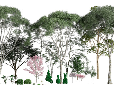 现代大树、灌木