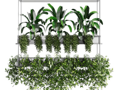 现代盆栽植物吊篮绿植3d模型 现代盆栽植物吊篮绿植