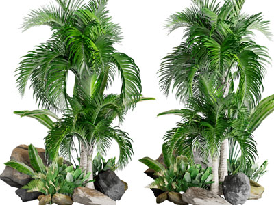 现代植物、石头景观园艺小品