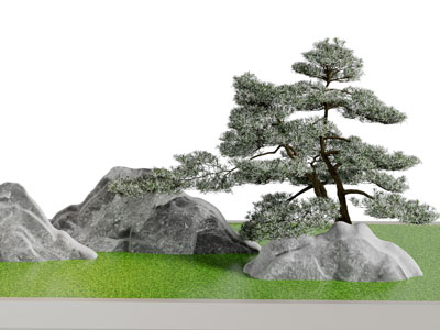 现代松树、石头景观园艺小品