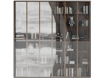 现代玻璃柜门的装饰柜