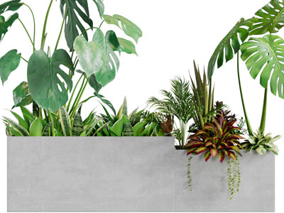 现代户外水泥花盆植物盆栽