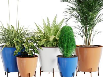 现代陶瓷花盆植物盆栽