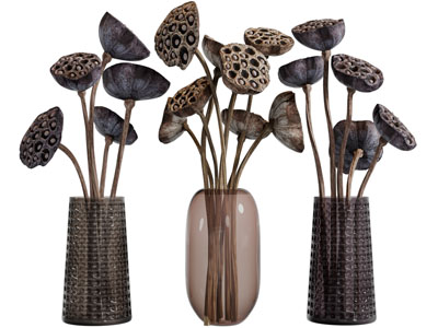 新中式莲蓬花瓶花卉