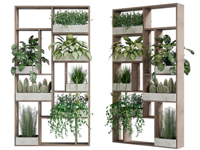 现代摆满植物盆栽的装饰架