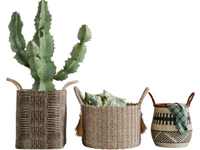 北欧藤编花盆盆栽植物