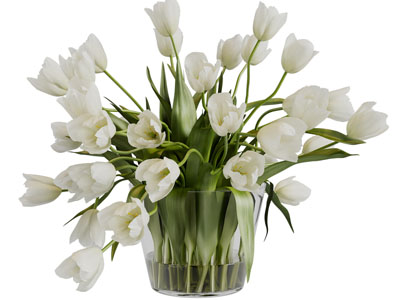 现代玻璃花瓶花卉