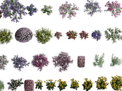 现代园艺花草绿植