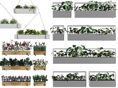 现代长方形悬挂花盆盆栽植物