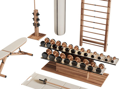 现代举重器健身器材、体育设备3d模型 现代举重器健身器材、体育设备