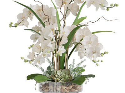 现代蝴蝶兰花瓶花卉