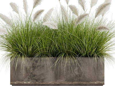 现代户外水泥花盆盆栽植物