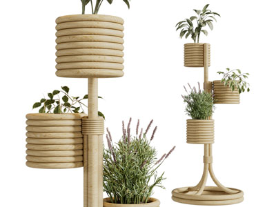 现代实木花架、植物盆栽