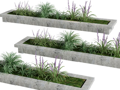 现代长方形花坛盆栽植物