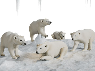 北极熊爬行动物