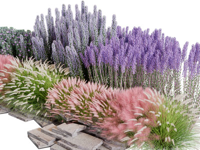 现代粉黛、薰衣草花草绿植