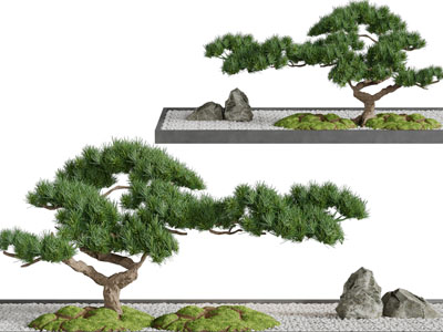 中式松树、假山景观园艺小品