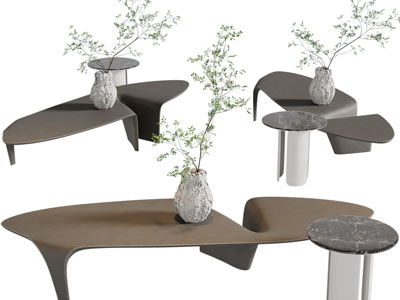 侘寂风异形茶几3d模型 侘寂风异形茶几