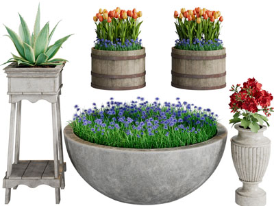 欧式户外花坛盆栽植物