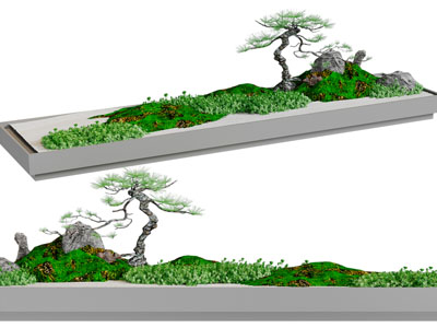 新中式盆景盆栽