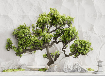 中式庭院景观园艺小品