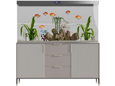 现代带装饰柜的鱼缸
