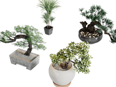 新中式盆景盆栽