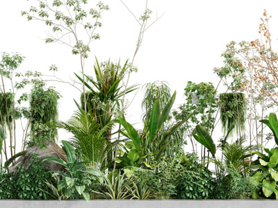 现代花坛植物景观园艺小品