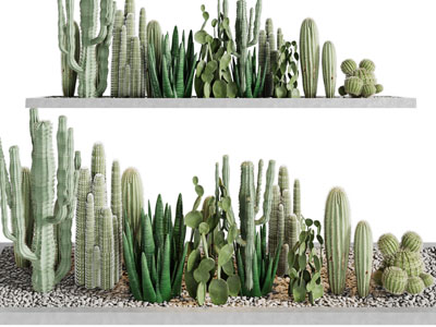 现代多肉植物景观园艺小品