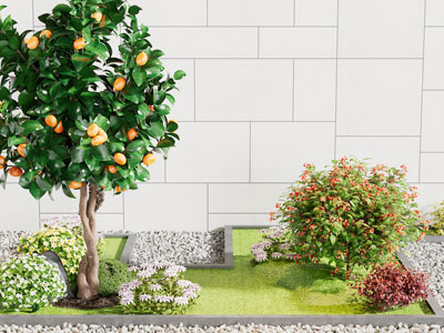 中式庭院果树绿植景观园艺小品