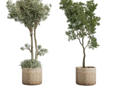 现代藤编花盆植物