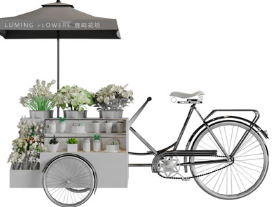 现代花卉售卖车3d模型 现代花卉售卖车