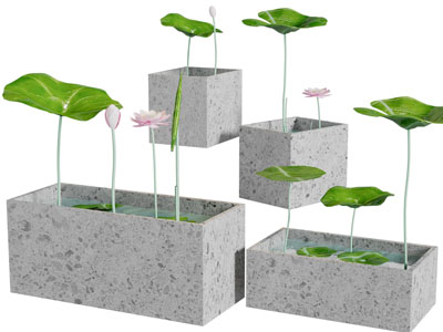 中式荷花池景观园艺小品