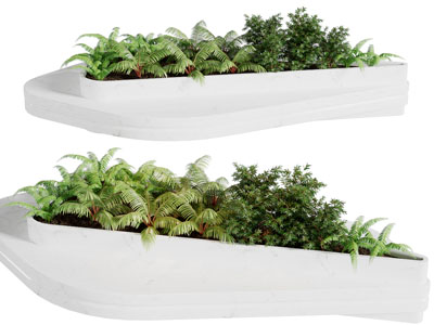 现代异形花坛盆栽植物