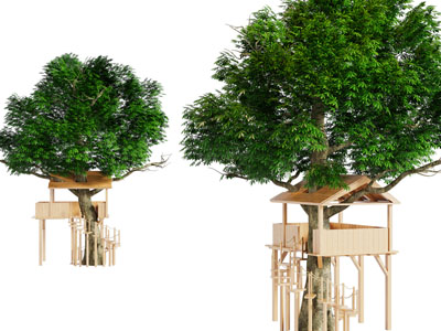 现代树房子瞭望台