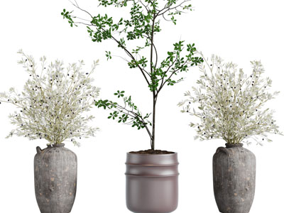 现代花瓶花卉、盆栽植物