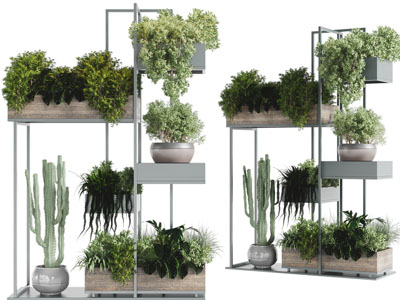 现代花架盆栽植物