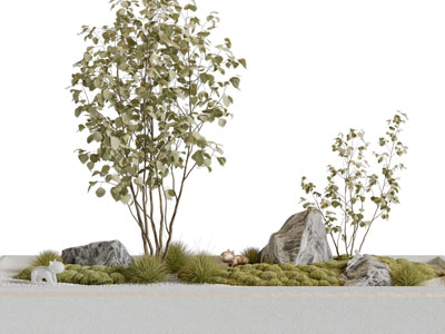 现代树木、石头景观园艺小品