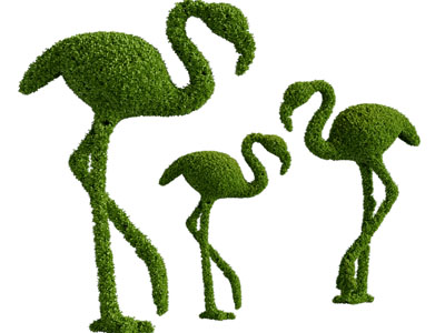 现代火烈鸟造型灌木园林景观