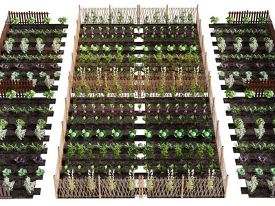 现代圈上篱笆的菜园子