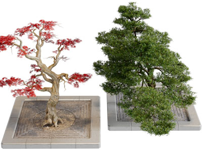 新中式花坛景观树木