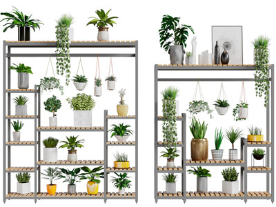 现代盆栽植物花架