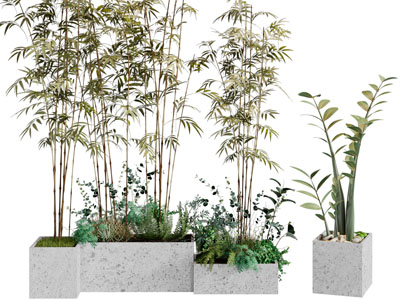现代花盆竹子