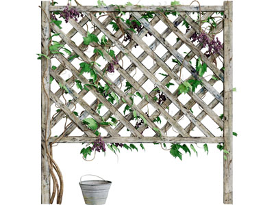 现代实木花架植物墙