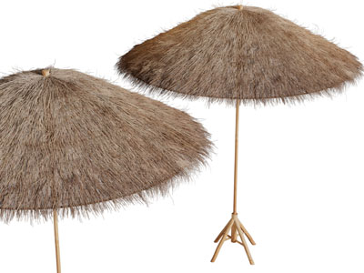 中式民宿遮阳棚、草棚