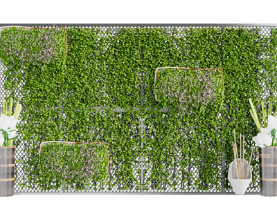 现代植物背景墙3d模型 现代植物背景墙
