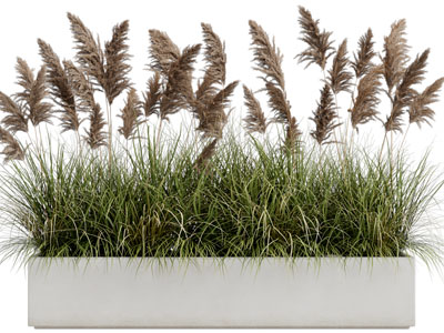 现代户外花坛花草绿植