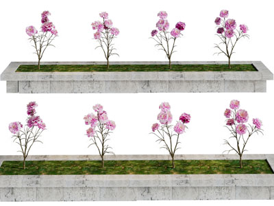 现代户外花坛花草绿植