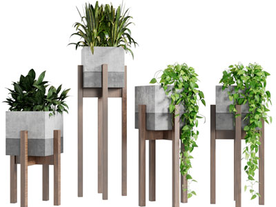 现代花架盆栽植物