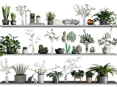 现代盆栽植物摆件